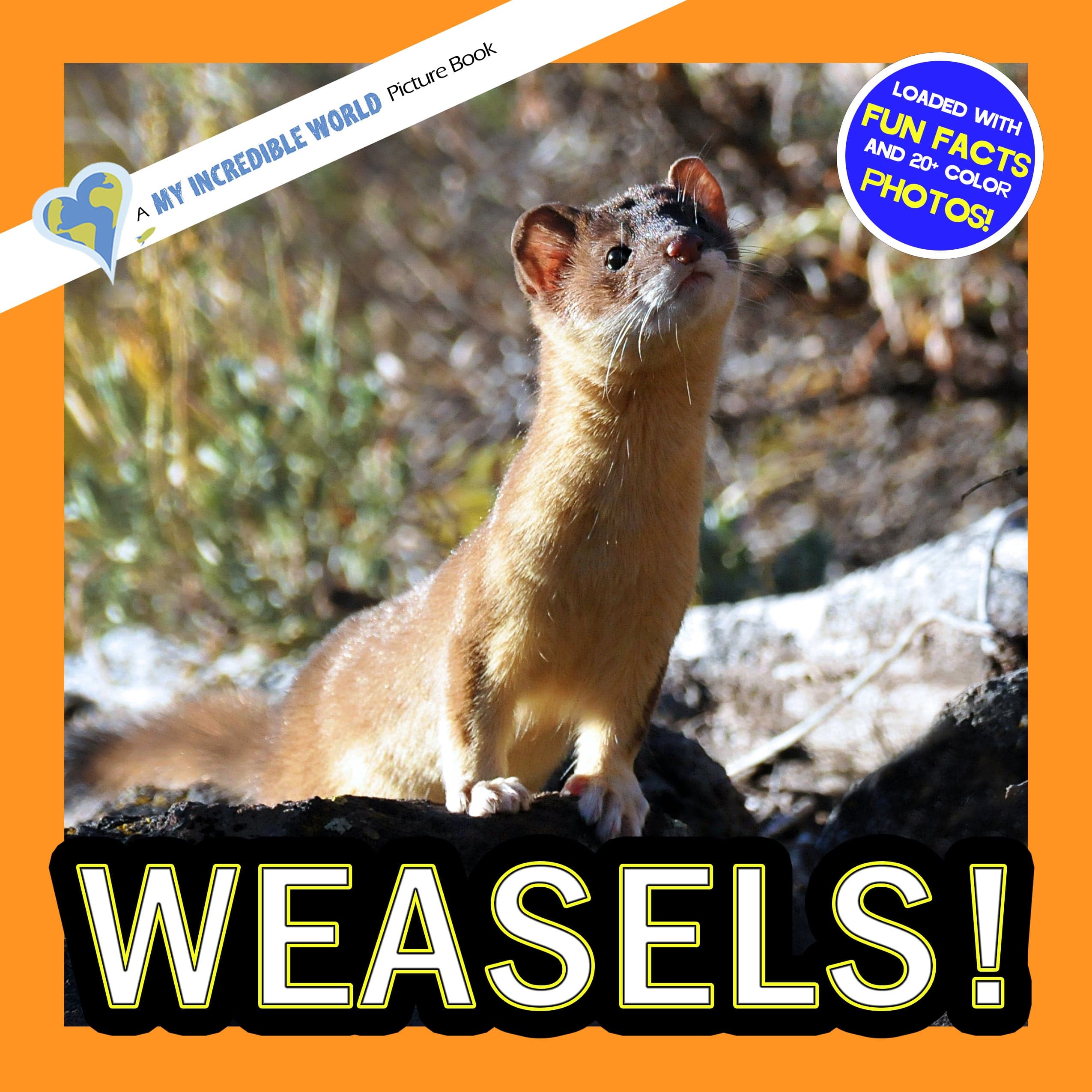Weasels! A My Incredible World Picture Book for Children